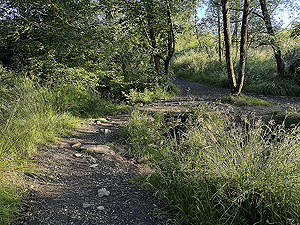 Trident 10K : Crossing over the burn