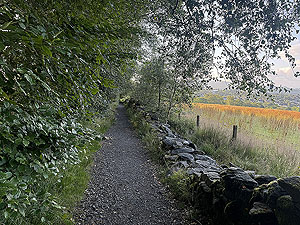 Trident 10K : Flat section