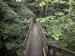 Trident 10K : Bridge at bottom of the stairs