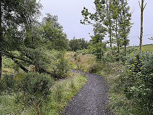 Trident 10K : Up hill to the Highland mans way