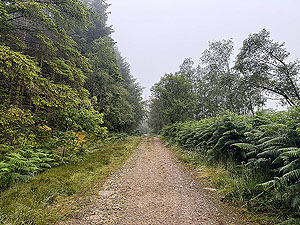 Trident 10K : Good dirt road