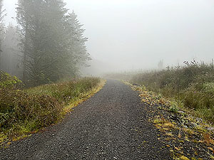 Trident 10K : And down and down