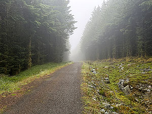 Trident 10K : Looking back at the top