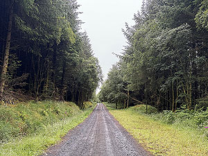 Trident 10K : Climb nearly over