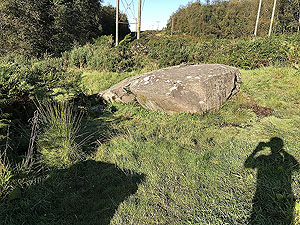 Trident 10K : The stone itself