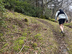 Ardgartan trail race: The steepest part of the race