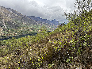 Devil O Highlands : Climbing out of Kinlochleven