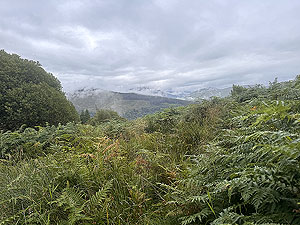 Inveraray Caslte : : View from close to the top