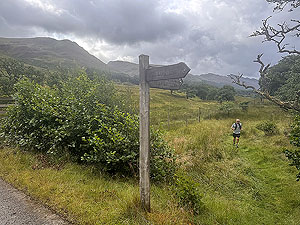 Glen Ample: : Runner at the end of the short farm detour