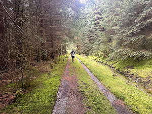 Glen Ample: : Near the end of the route
