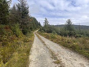 Dunoon Ultra : Climb, climb , climb