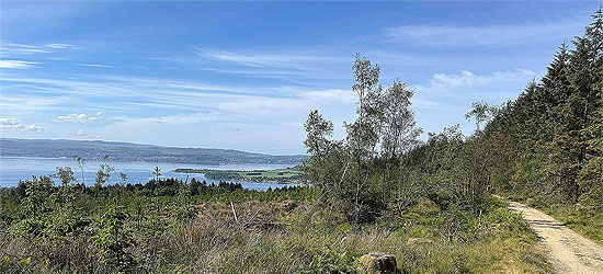 HAAC Thursday trail - Highland mans way