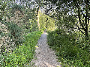 HAAC - Highland mans way : The initial flatish section of the route