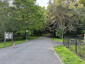 HAAC - Whinny hill : Inside the park gates and tar to start with