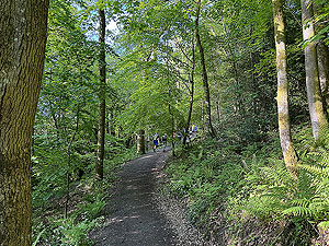 HAAC - Whinny hill : There is always a hill