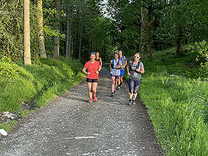 HAAC - Whinny hill : All smiles on a sunny evening