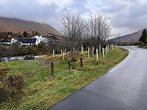 Bridge of Orchy 10k  : Approaching the bridge at the end