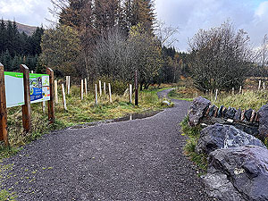 Bridge of Orchy 10k  : The start of the trail section