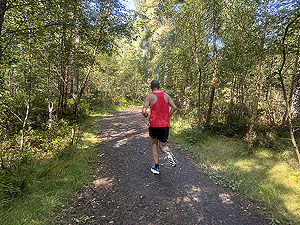 Gallus Running Devilla half  : Runner on final trail section