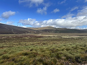 Caringorms trail marathon:  : If there is an uphill path in the distance the chances are thats the way