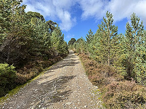 Caringorms trail marathon:  : The tough climb at 29 Km