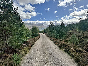 Caringorms trail marathon:  : Short flat section