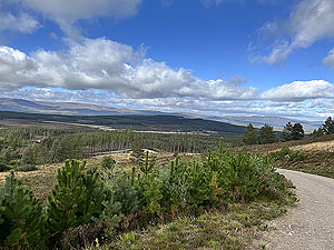 Caringorms trail marathon:  : This downhill is hard on the legs, but what a view
