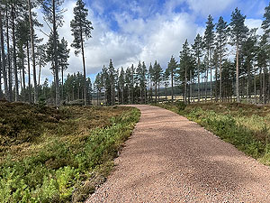 Caringorms trail marathon:  : Approaching the turn off onto the trail section