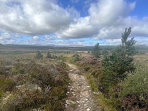 Caringorms trail marathon:  : The start of the trail section