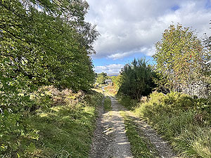 Caringorms trail marathon:  : Near the end of the forest road
