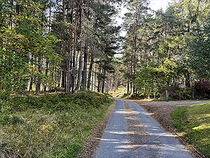 Caringorms trail marathon:  : Onto tar for the last few miles