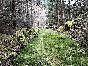 A dead end for the running route