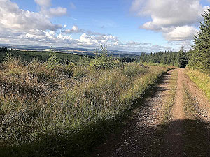 The Aberdeenshire countryside in all it's glory.