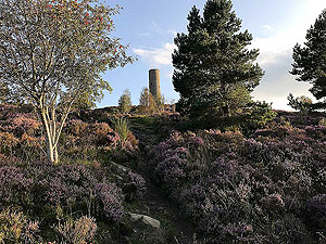 First sight of the tower on Scolty hill