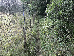 The path close to ending