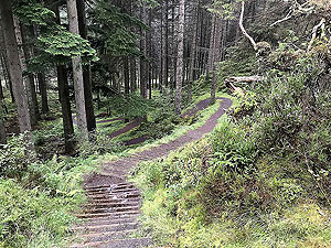 The staircase up the hill