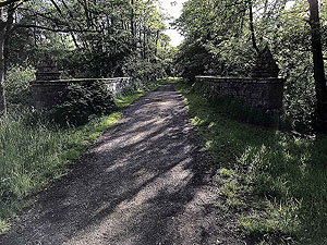Flat running at Loch Skene
