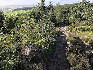 Running near Aberdeen airport