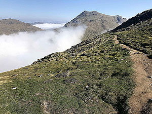 Descent from the Cobbler