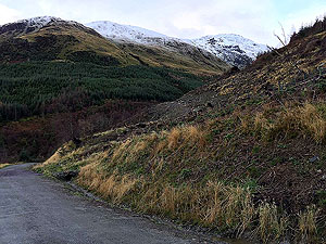 Looking back on Ben Ledi on this run