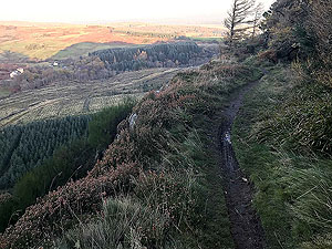 A run along Sauchie Craig