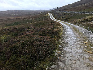 Grouse moor on the Craig hill loop